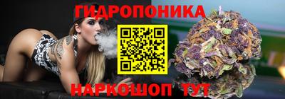 наркотики Будённовск